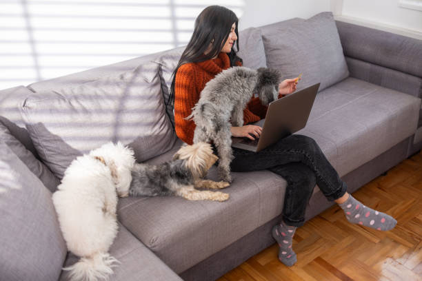istock Buy something for us too, please 1894071829
