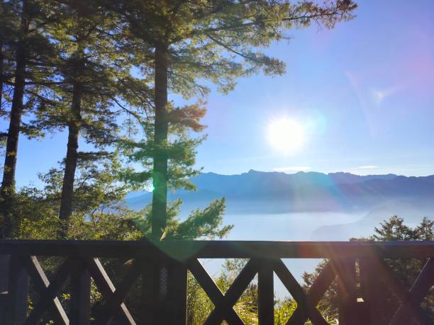 istock Morning in Alishan 4 1894139771