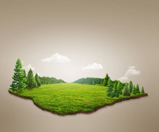 istock 3D illustration of forest landscape. empty space abstract illustration. eco design concept. 1894167644