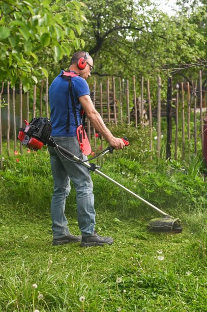 istock worker mows the lawn grass with a lawn mower 1894284581