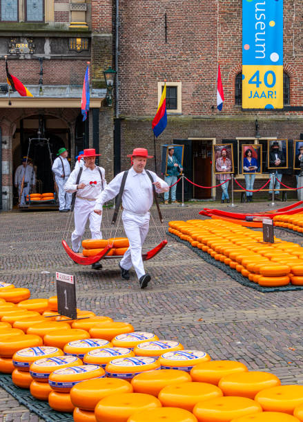 Carriers walking with cheese at a famous Dutch cheese market in Alkmaar, The Netherlands Carriers walking with cheese at a famous Dutch cheese market in Alkmaar, The Netherlands. The event is traditionally perforemed every weekend in the Waagplein square. cheese dutch culture cheese making people stock pictures, royalty-free photos & images