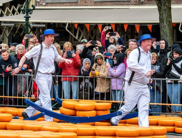 Carriers walking with cheese at a famous Dutch cheese market in Alkmaar, The Netherlands Carriers walking with cheese at a famous Dutch cheese market in Alkmaar, The Netherlands. The event is traditionally perforemed every weekend in the Waagplein square. cheese dutch culture cheese making people stock pictures, royalty-free photos & images