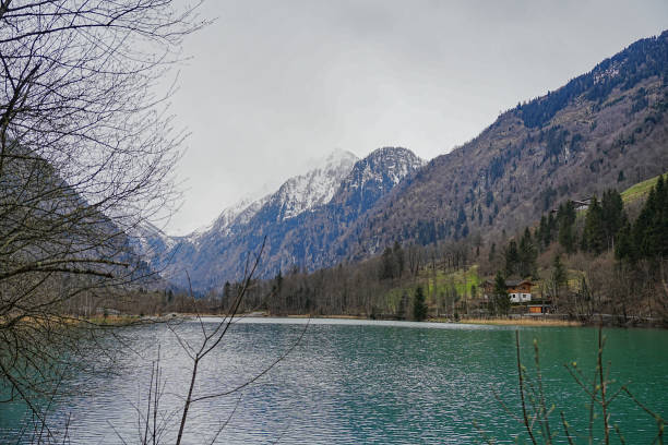 jade color lake from Alps (Klamsee)