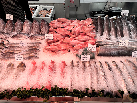 View of fishes in sales in central fish market.