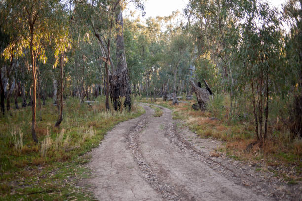 istock 4x4 Track Nyah Vinifera Park 1894489874