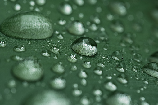 Beautiful water drops after rain on green leaf in macro