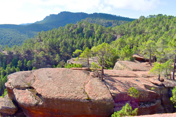 istock Protected Landscape of the Rodeno Pine Forests. Sierra de Albarr 1894536208
