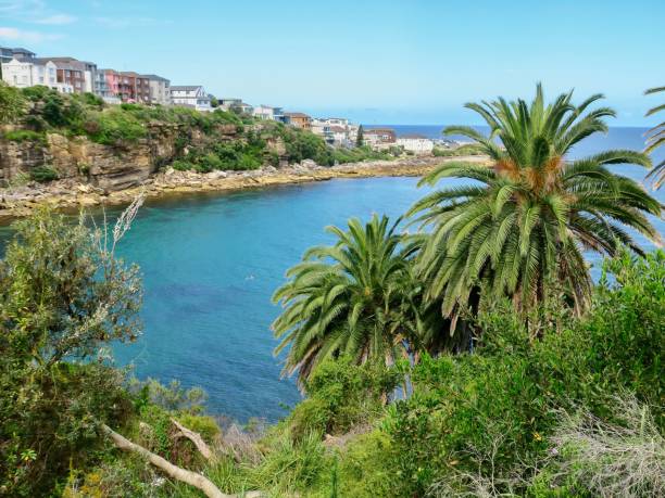 istock The Scenic Coastline 1894546606