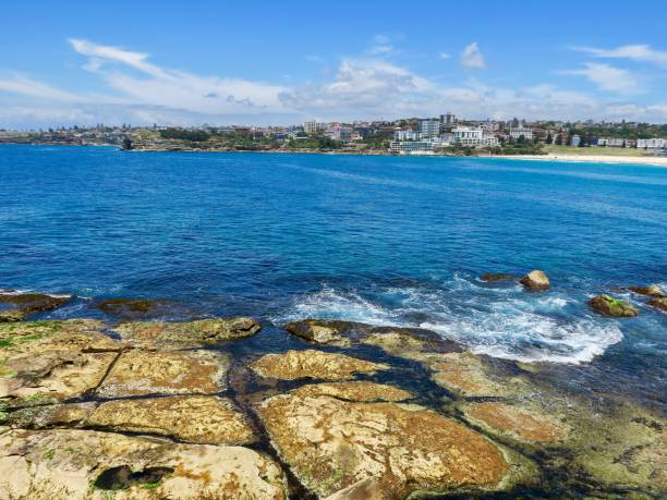istock Bondi Beach in Sydney 1894557655