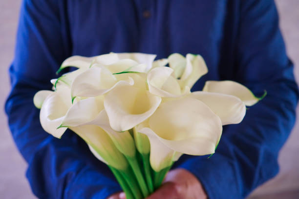 mężczyzna trzymający wiele kwitnących białych kwiatów kalii. leży bukiet białych kalii. piękny bukiet białych, delikatnych kalii. - callas zdjęcia i obrazy z banku zdjęć