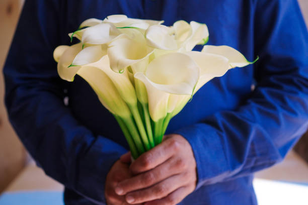 man holding many blooming white callas flowers. a bouquet of white callas lies. beautiful bouquet of white tender callas. - callas zdjęcia i obrazy z banku zdjęć