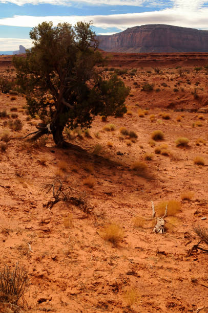 Harsh and Desolate Monument Valley north east Arizona Navajo Nation USA