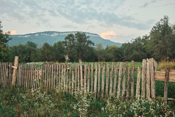 Mountain landscape. Rural area. Trees and grass. Early autumn. Sunset time