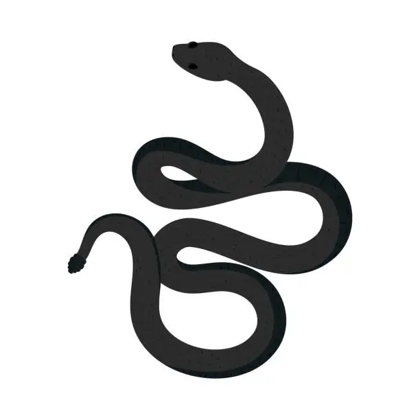 Vector illustration of snake reptile animal