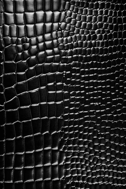 istock close up of the black crocodile leather 1894725260