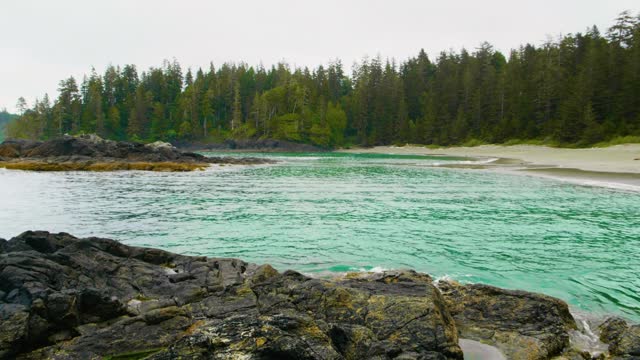 Footage of Pacific Rim National Park Reserve, canada