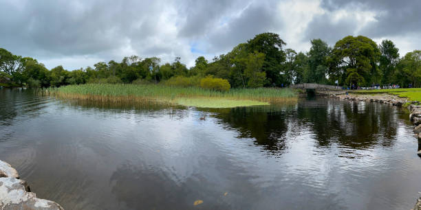 riflessi nel bellissimo lago lough leane nel parco nazionale di killarney - contea di kerry - irlanda - tranquil scene colors flowing water relaxation foto e immagini stock