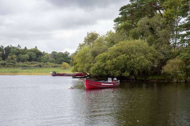 il bellissimo lago lough leane nel parco nazionale di killarney - contea di kerry - irlanda - tranquil scene colors flowing water relaxation foto e immagini stock