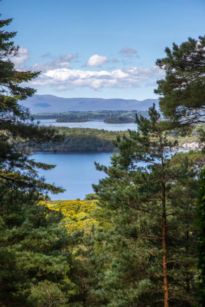 vista panoramica del lago muckross e lough leane nel parco nazionale di killarney - contea di kerry - irlanda - tranquil scene colors flowing water relaxation foto e immagini stock