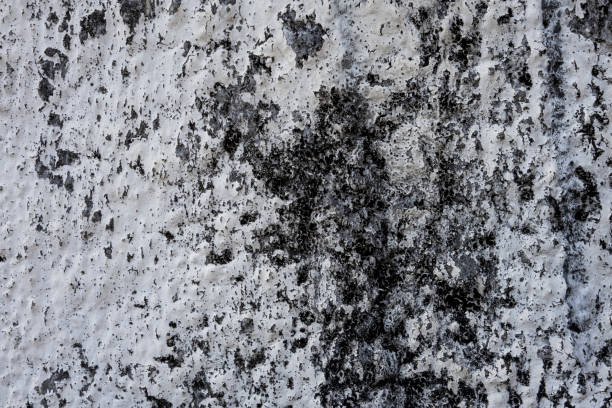 A retro style dirty and aging background wall