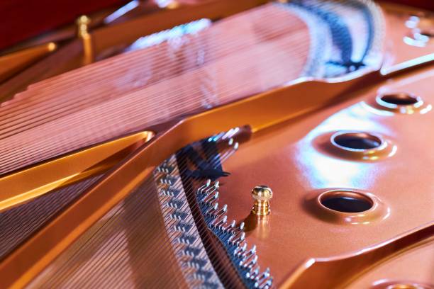 istock Musical instrument piano close-up. Internal structure. Concert instrument . 1894754952