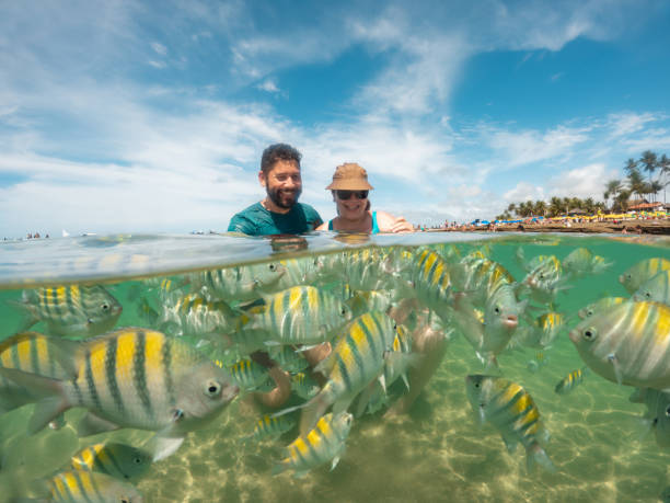istock Tourists bathing with fish in Porto de Galinhas 1894765865