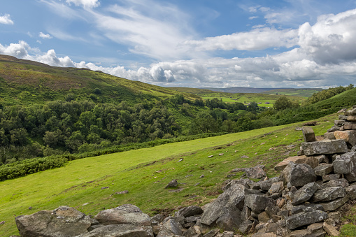 The rolling landscape of the southern area of the Yorkshire Dales National Park in England.