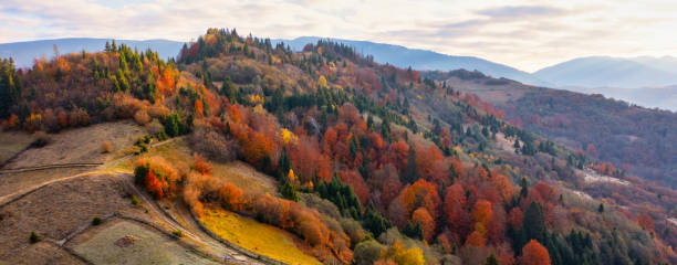 istock Aerial Symphony: Autumn's Vibrant Tapestry in the Mountain Forest 1894792332