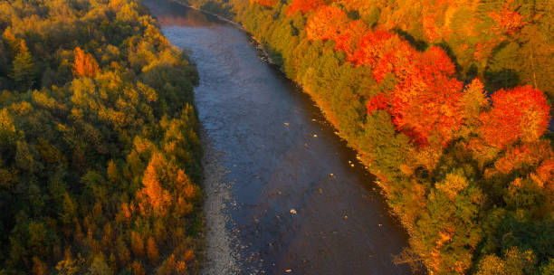 istock Aerial Serenity: Autumn Mountain Landscape with River and Road 1894792349