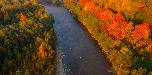 Drone's-Eye View: Scenic Mountain Road Alongside the River in Fall