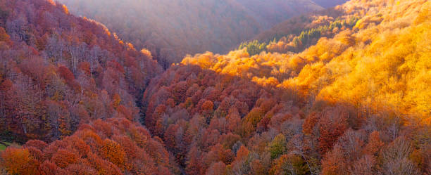 istock Drone's Delight: Capturing the Warmth of an Autumn Day 1894792362