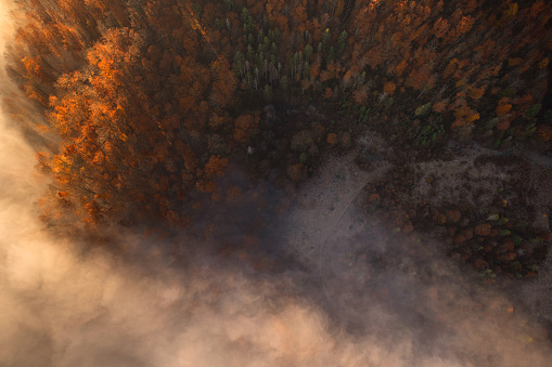 Misty Mountain Reverie: An Autumn Sunrise in Nature's Sanctuary