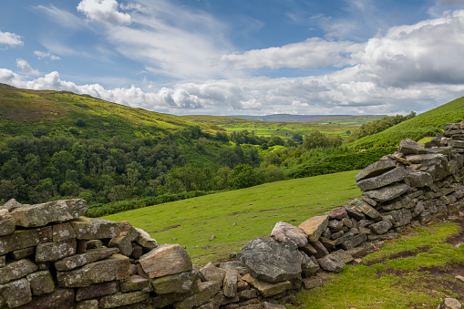 Damaged dry stone wall in the rolling landscape of the southern area of the Yorkshire Dales National Park in England.