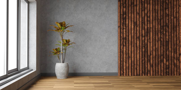 istock A Serene Corner: A Beautifully Arranged Vase with a Lush Green Plant Beside a Sunlit Window 3d render illustration 1894905124
