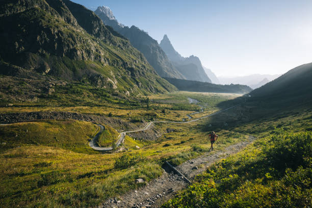 istock Trail runner bounds along mountain trail 1894922533