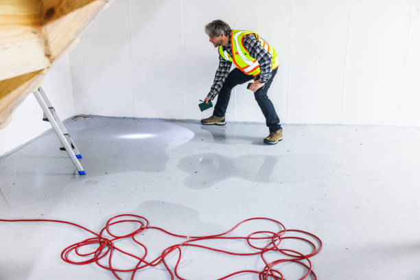 istock Risk assessment after cellar flooding. A mature adjuster with flashlight, examines flood consequences 1894926178