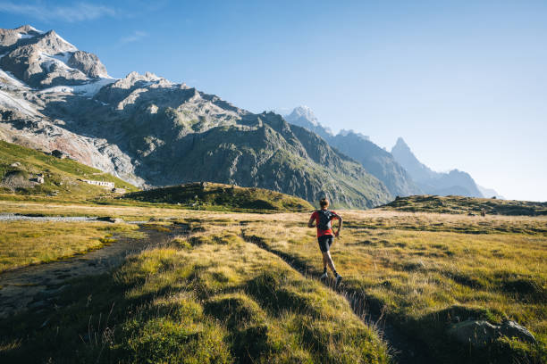 istock Trail runner bounds along mountain trail 1894933535