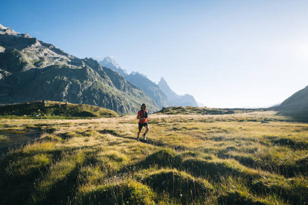 istock Trail runner bounds along mountain trail 1894935106