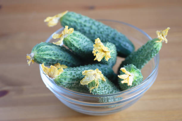 Fresh ripe organic small gherkin cucumbers in a clear glass bowl on a wooden table