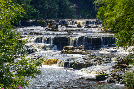 Multiple waterfalls at Aysgarth Falls in the Yorkshire Dales National Park, England.