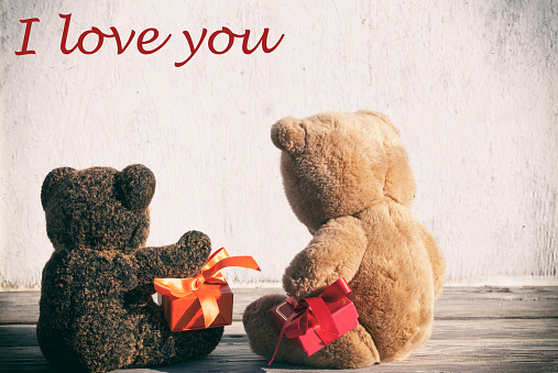 Teddy bears in love.