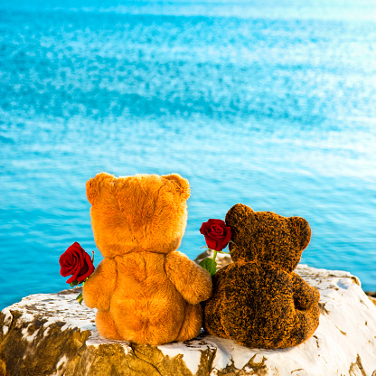 Teddy bears in love.