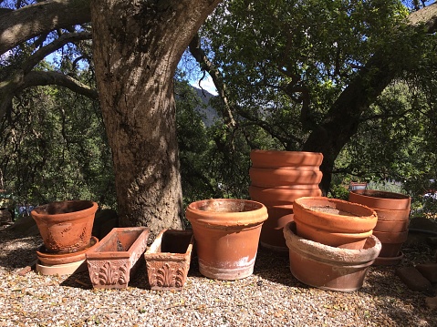 Stacks of large terra cotta pots under a live oak tree in the sunshine