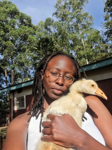 istock A girl and her goose 1895003910