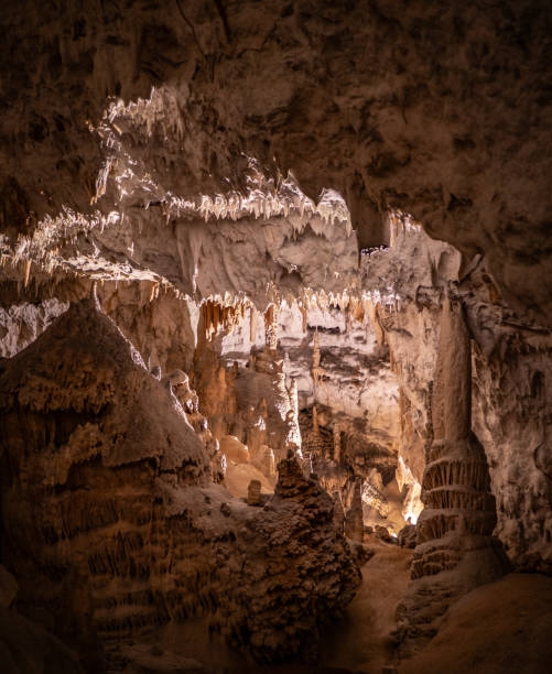 istock The cave Postojna Cave in Slovenia 1895029329