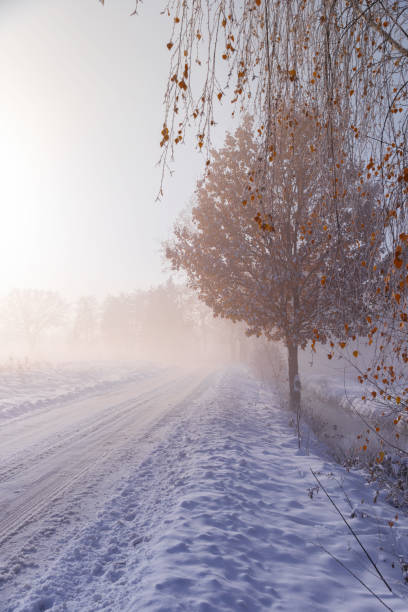 istock Winter landscape in the morning 1895064235