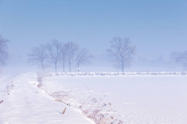 istock Winter landscape in the morning 1895064992
