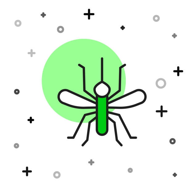 Filled outline Mosquito icon isolated on white background. Vector Filled outline Mosquito icon isolated on white background. Vector. mosquito filled with blood stock illustrations