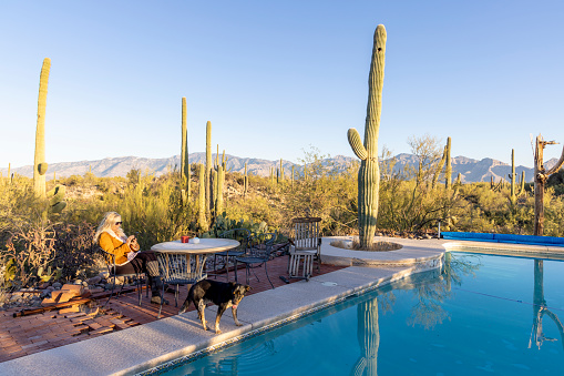 Mature  woman and dog relax by outdoor pool in desert at sunrise