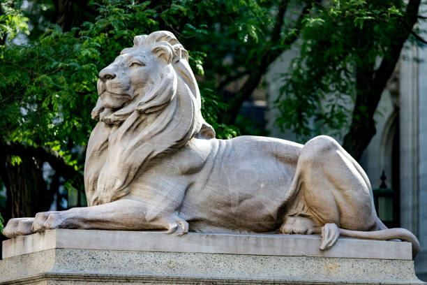 patience ist einer der beiden löwen aus rosafarbenem tennessee-marmor, die die eingangstür der new york public library bewachen. - statue apple roman sculpture stock-fotos und bilder